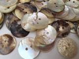 Pearl button 18mm